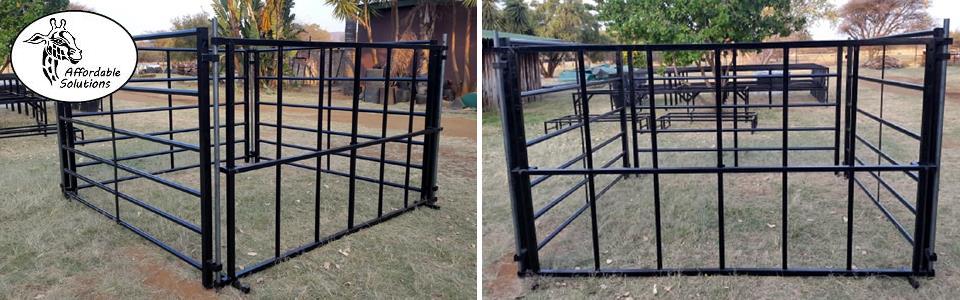 Calves creep feed kraals