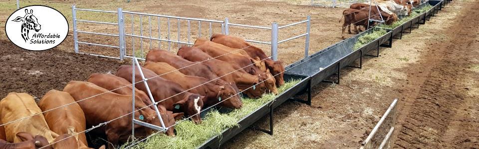 Cattle and calf feed troughs