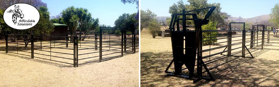 Cattle kraal and chute temporary or permanent