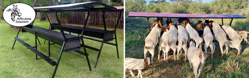Goat feeding troughs with roofs to protect feed against rain and sun