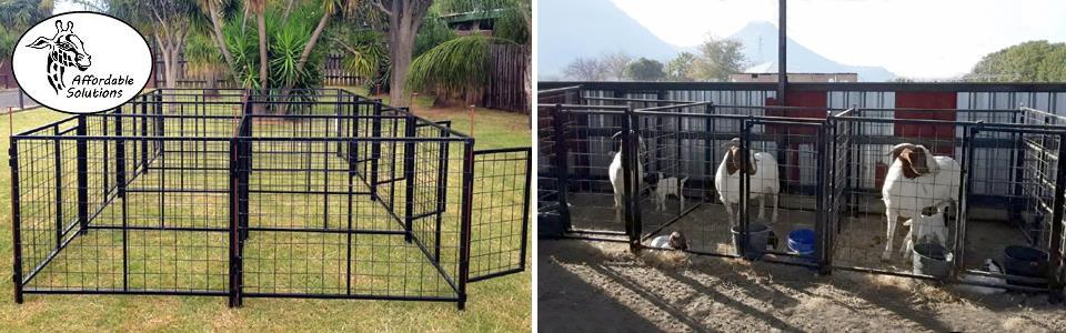 Goat lambing pens for ewe dow and lambs