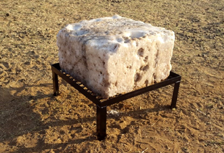 Stands for salt lick blocks