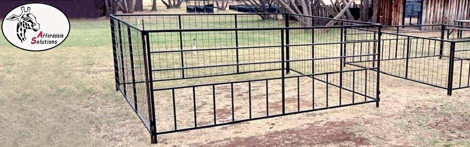 Boerbok lammers kruip voer hekkies en kruip voer krale
